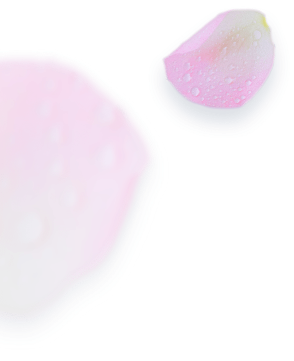 rose flip